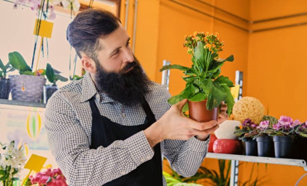 Cremorne Florist