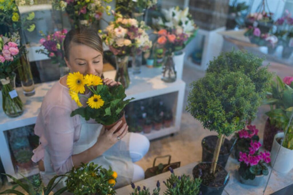 Wollstonecraft Flowers